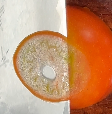 Master Knife Care Bundle